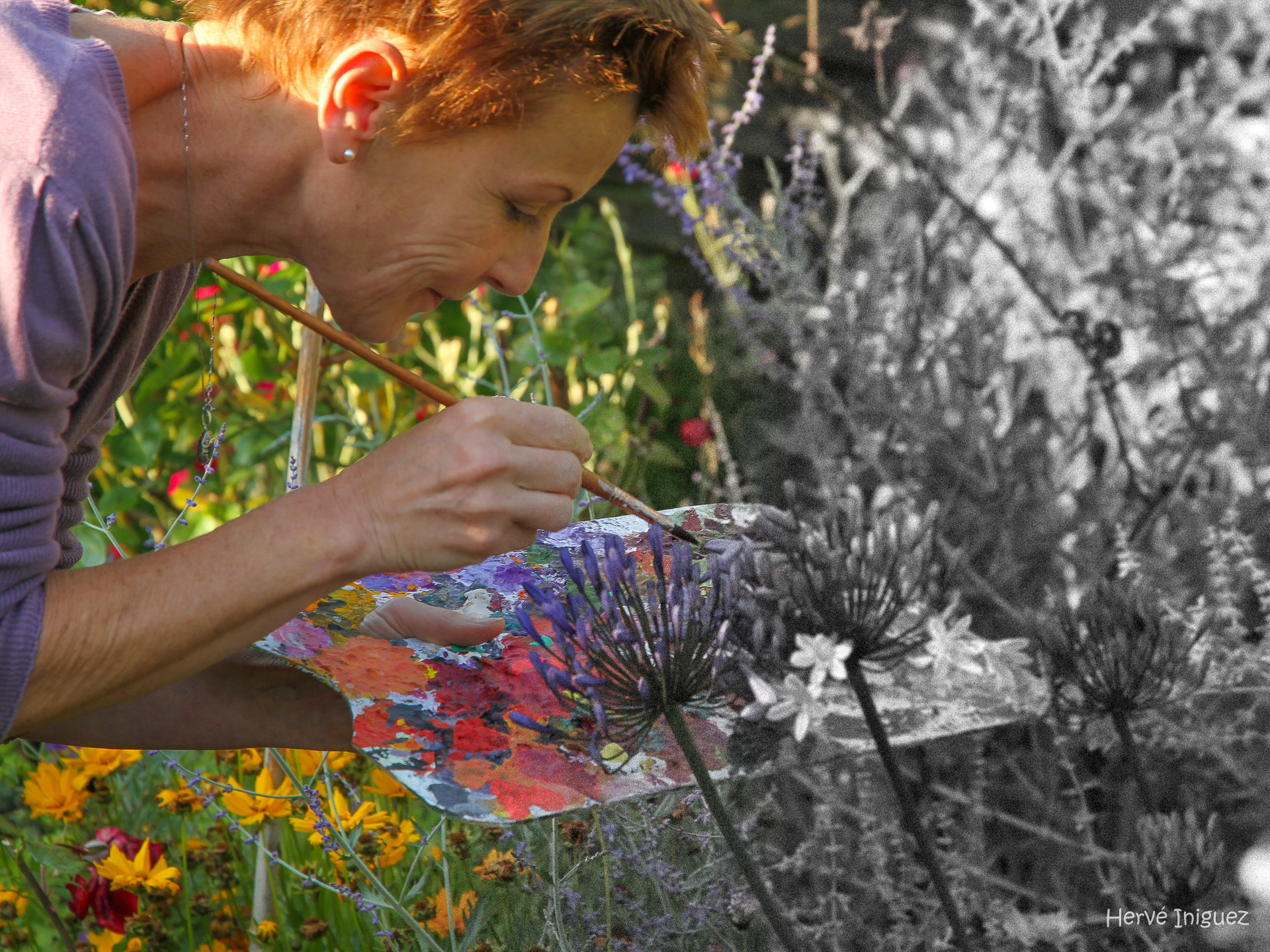 Geneviève Naudin peint son jardin comme une toile