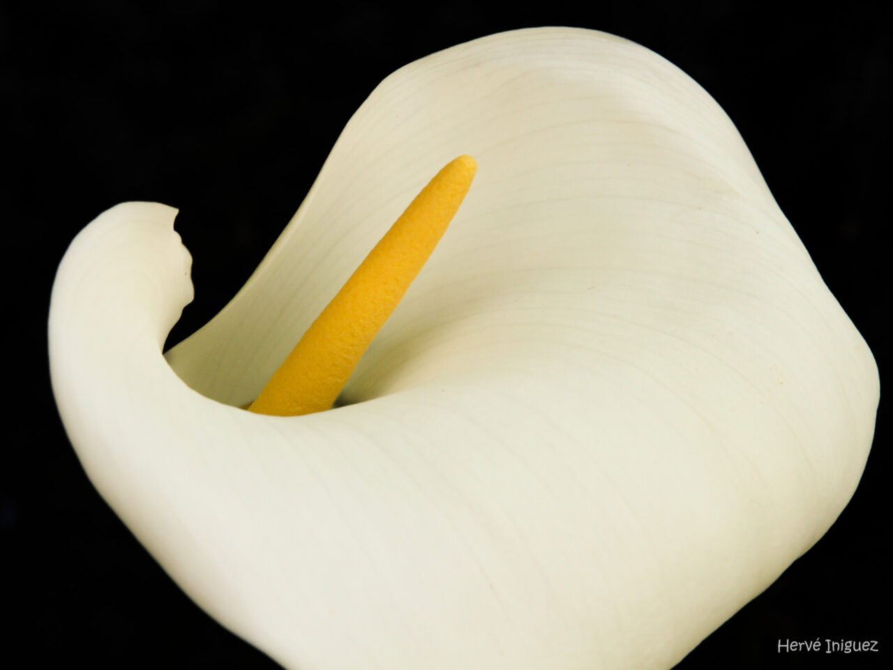 Plenitude IMG 1700 Canon EOS 7D Herve Iniguez