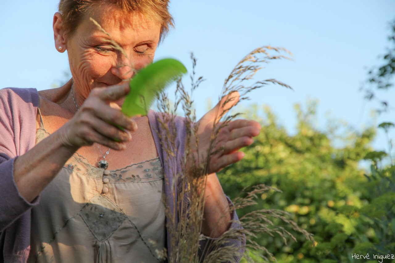 secrets de jardiniere 3181