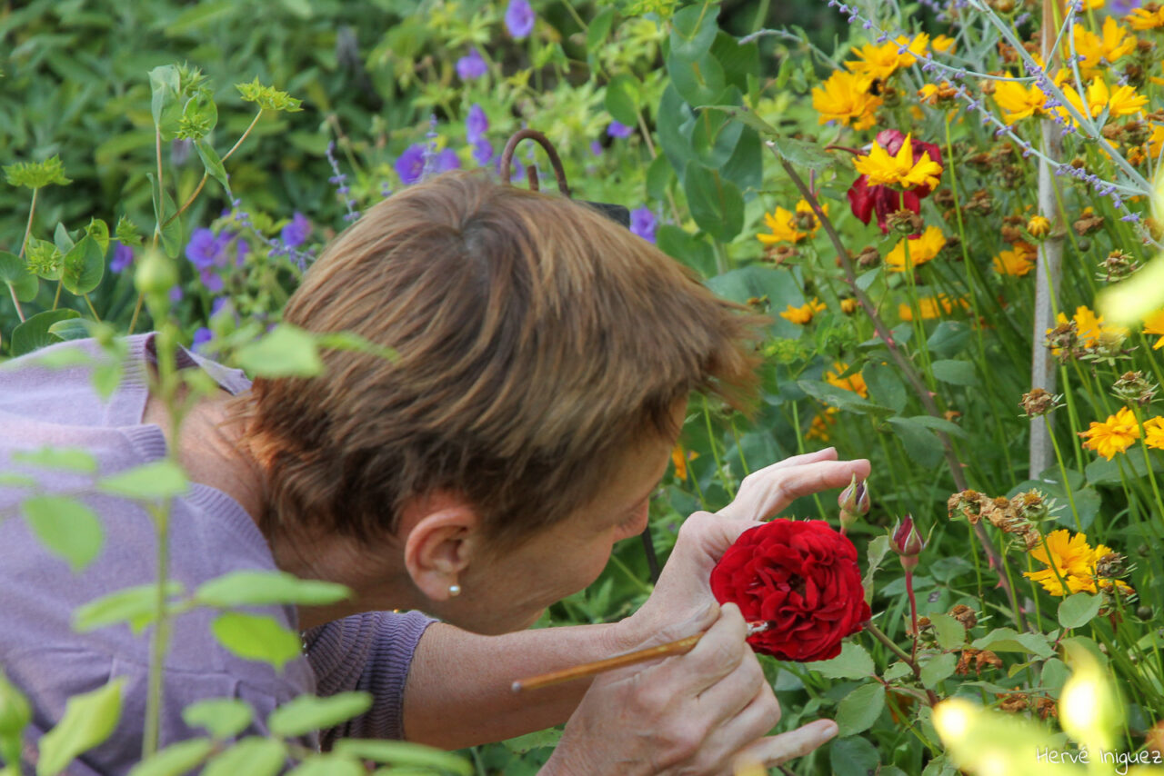 secrets de jardiniere 3192